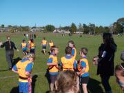 Primary School Tournament 2009