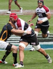 QBE Insurance North Harbour vs. Wellington, Sun 10 Sept